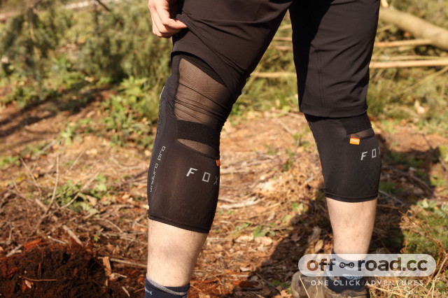 Fox best sale enduro knee